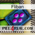 Fliban 04